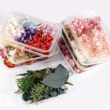 1 коробка, экологически чистый декор из сушеных цветов, простой в уходе, полезный, натуральный декоративный предмет, сделанный своими руками, сохраненное искусство B