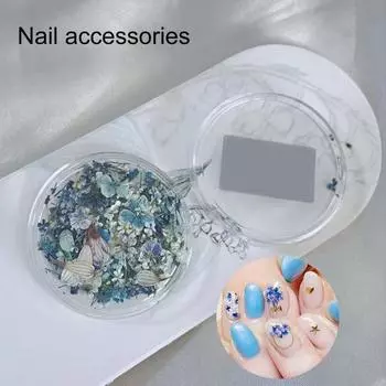 1 коробка украшений для ногтей, не падающая паста, легко масляная живопись, серия DIY, мини-натуральный сушеный цветок для ногтей B