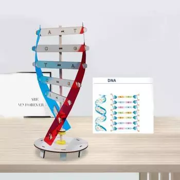1 Набор Интересное Стимуляция Воображение Повышение Концентрации Инновационная Двойная Спираль Структура ДНК Модели Дети Игрушки Экспериментальное оборудование
