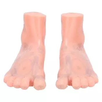 1 пара человеческих стоп акупунктурных точек модель рефлексотерапии стоп акупунктурные точки массажа модель