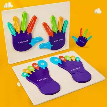 1 пара ладоней и подошв, познавательная головоломка-головоломка для детского сада, детская структура тела, познавательные, научные и образовательные игрушки CHINA