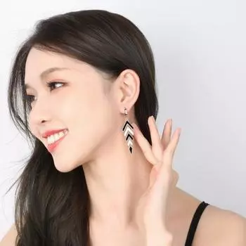 1 пара серег-подвесок с индивидуальной геометрической фигурой, черный, белый цвет, контрастный цвет, длинная кисточка, темперамент в стиле ретро
