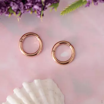 1 пара шарнирных колец-сегментов для пирсинга носовой перегородки, уха, губы, лабрета, розовое золото, мм 8мм 10мм 6mm