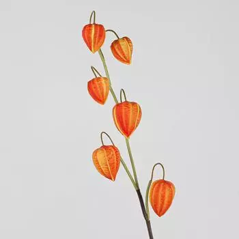 1 Pcs 71 Cm Beautiful Artificial Long Stem Red Lantern Flowers Silk Flowers Home Party Wedding Decoration