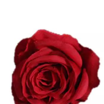 1 шт., 1 голова, реалистичный искусственный искусственный шелк, роза, искусственный цветок, свадебный декор для невесты красный