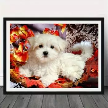 1 шт. 5D DIY набор алмазной живописи без рамы, наборы для вышивания щенков животных, 5D горный хрусталь ремесло настенное искусство, домашний декор и аксессуары для хобби Round drill 30x40cm