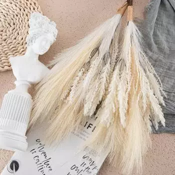 1 шт. Цветы дрейда, пушистые помпы, трава, пампасная трава, декоративная ваза, наполнитель для пампасов, свадебный декор в стиле бохо, цветы для домашнего стола, деревенский фермерский дом розовый