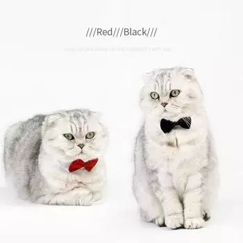 1 шт., домашние животные, щенки, собаки, кошки, регулируемый ошейник-бабочка, галстук-бабочка, праздничные свадебные украшения, аксессуары для ухода S чёрный