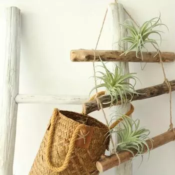 1 шт. домашняя флокированная воздушная трава моделирование настольных горшечных растений небольшие украшения листья бромелии