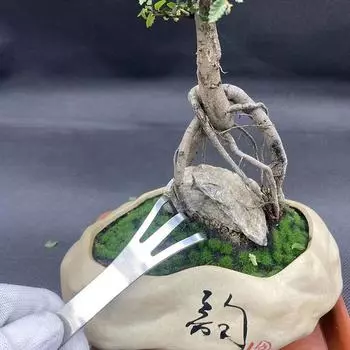 1 шт. грабли из нержавеющей стали для корней бонсай, горшечные растения, 3-зубчатый инструмент для рыхления почвы, ручные нержавеющие грабли, инструмент для домашнего садоводства