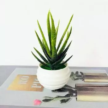 1 шт. имитация алоэ мини-растения в горшке имитация растения в горшке искусственный пластиковый дисплей форма бонсай для домашнего внутреннего и наружного декора Aloe