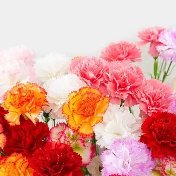 1 шт. Искусственные цветы гвоздики, имитация гортензии для дома, романтическое свадебное украшение, шелковый искусственный цветок, подарок на День матери красный