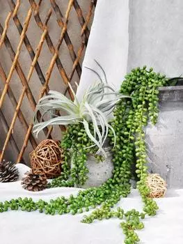 1 шт. Искусственный плющ, озеленяющие растения, суккулентные настенные украшения для дома, оконного сада, праздничного украшения для вечеринки, искусственные цветочные растения зелёный