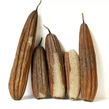 1 шт. Экологически чистая натуральная мочалка с кожурой, мочалка для уборки дома, натуральная мочалка для душа, мочалка 25-35cm дубильная кора