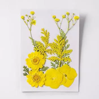 1 шт. классическая комбинация сухоцветов, маленькая упаковка, сухие растения для заливки смоляных форм, эпоксидная смола, поделки, украшения для ногтей красный