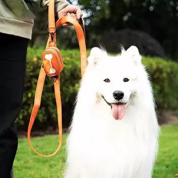 1 шт. мешок для сбора собачьих какашек, мешок для сбора собачьих какашек, мешок для хранения собачьих мусорных мешков, диспенсер для собачьих мусорных мешков небесно-голубой