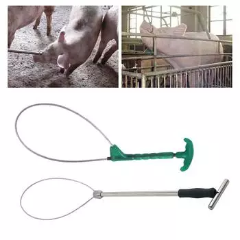 1 шт. Набор для свиней Баодин, сталь/пластик, длинная ручка, ветеринарное оборудование, фиксированное, Re Z4I0 green sliver-1pcs