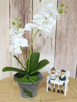 1 шт. настоящие сенсорные цветы орхидеи-бабочки, искусственные цветы для домашней вечеринки, свадебные украшения, цветочные белый