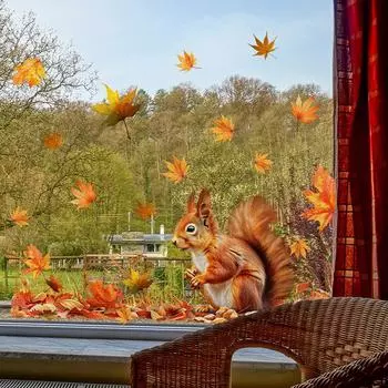 1 шт. Обои для украшения комнаты, статическая клейкая лента, наклейки на стену, осенние отпугивающие птицы, наклейки на окна, белка, предметы интерьера 30*60cm