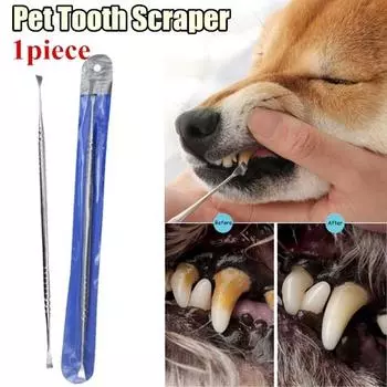 1 шт., очиститель зубов для собак, скребок для удаления зубного камня, набор из нержавеющей стали, инструмент для чистки полости рта собаки