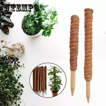 1 шт., палка для скалолазания из кокосового волокна, палка из кокосового мха, пальмовая лоза, палка, поддержка растений, расширение, восхождение, комнатные растения, лианы 30CM