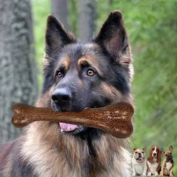 1 шт. прочная жевательная игрушка для собак - способствует здоровью зубов и десен - долговечная жевательная игрушка в форме косточки для собак всех пород товары для животных 12cm коричневый