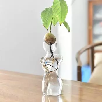 1 шт. Прозрачная ваза для выращивания семян, набор для выращивания семян авокадо, аксессуары для садоводства, домашний декор, стекло