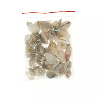 1 шт. различные стили широко используют случайный цвет натуральной оболочки Diy ремесло для украшения