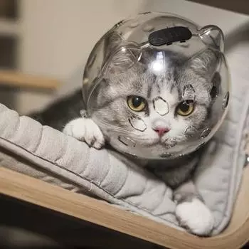 1 шт. шлем Space Cat - дышащий регулируемый прозрачный намордник для груминга, противооблизывающий чехол для головы, идеально подходит для инструмента для груминга домашних животных M прозрачный