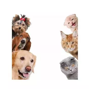 1 шт., собаки, кошки, 3D стикер на стену, забавная дверь, окно, шкаф, холодильник, украшения для детской комнаты, домашний декор, мультяшное животное 1