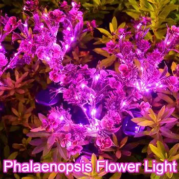 1 шт. Солнечный свет на солнечной батарее искусственный цветок фаленопсис водонепроницаемый ландшафтный красочный садовый газон декоративный светильник 1pc фиолетовый светлый