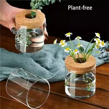 1 шт. Стеклянная ваза, бутылка для гидропонного растения, офисный настольный цветочный горшок, художественная ваза для цветов, мох, экологическая бутылка, украшение для офиса и дома
