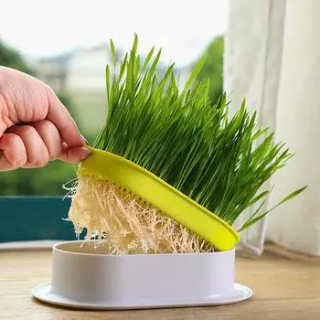 1 шт. Товары для животных, лакомства для кошек, кошачья мята, гидропонная коробка, миска для кошачьей травы (Без семян) Поддон для выращивания пшеницы без почвы зелёный