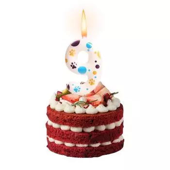 1 шт. украшение в виде собачьей лапки, украшение на торт, подарок на день рождения, свечи, принадлежности для вечеринки по случаю дня рождения, номер 0-9, креатив