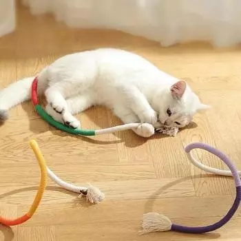 1 шт., веревочная игрушка для укуса кошки, веревка для скрежета зубами кошки, прочная игрушка для чистки полости рта кошки, жевательная игрушка для домашних кошек, день короля