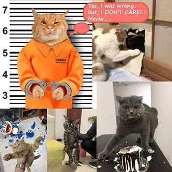 1 шт. забавные наручники для кошек, наручники для игрушек для домашних животных из нержавеющей стали, наручники для домашних животных подходят для большинства мелких кошек, товары для животных One Size серебряный