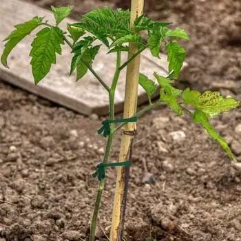 1 шт. Зеленая садовая веревка, тканевая полоска, поддерживающая стяжка для растений, используемая для сортировки кабелей в садовых офисах и домах