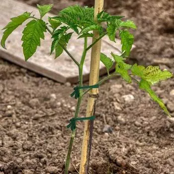 1 шт. Зеленая садовая веревка, тканевая полоска, поддерживающая стяжка для растений, используемая для сортировки кабелей в садовых офисах и домах