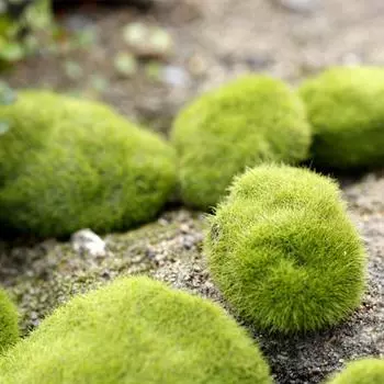 1 шт. Зеленый искусственный мох камни трава растение в горшке домашний садовый декор 3cm