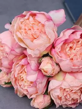 1 упаковка искусственных цветов 10 головок сушеных пионов шелковые пионы искусственный букет пионов для свадьбы украшение стола для дома и офиса цветочные композиции своими руками розовый