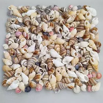 1 упаковка принадлежностей для аквариума, микс-стиль, натуральные ракушки, аквариумный ландшафт, крошечные морские ракушки, пляжное украшение, вечеринка, поделки своими руками