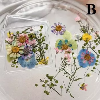 1Box Nail Art Flower Decoration Delicate 3D Dried Flower Nail Art Decorations Exquisite Nail Art Beauty For Charms Accessories