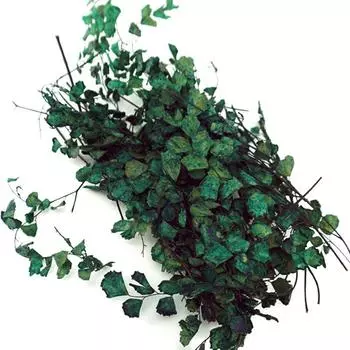 1Box Realistic Miniature Vines Creepers Rattan Leaves Diy Sand Table Vegetation Fairy Garden Scene Micro Landscape Accessories темно-зеленого