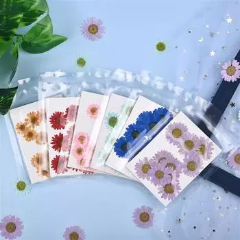 1Pack хризантема сушеные цветы сухие растения для Rsein формы заполнения эпоксидная смола ремесло DIY нейл-арт украшения прессованные цветы