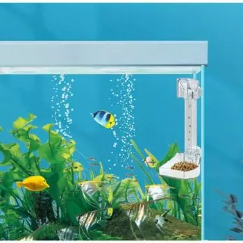 1PC Acrylic Small Fish Feeding Aquarium Feeder Tube Set Transparent Fish Tank Shrimp Food Feeding Accessories