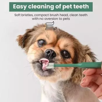 1PC Pet Toothbrush, Cat Toothbrush, Dog Toothbrush, Cat 360 Degree Oral Cleaning, Small Head Dog Toothbrush, Pet Supplies 1.3cmx15.5cm