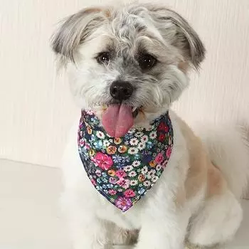 1pc Stylish Flower Pattern Pet Triangle Towel - Absorbent Dog Saliva Towel and Bib - Perfect Pet Accessory One Size Fits All