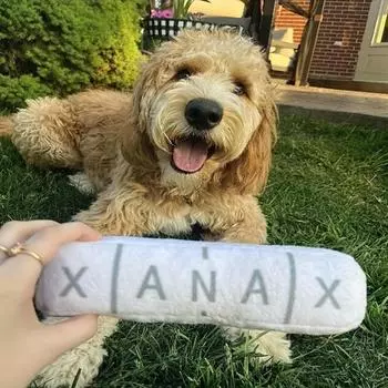 1Pcs Chill Pill Plush Dog Toy - Squeaky & Crinkle, Durable Polyester Chew Toy for All Breeds белый