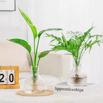 1PCS Hydroponic Plants Flower Pots Simple Style Transparent Table Glass Vase For Home Office Study Decoration Home Decorations чёрный