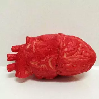 1PCSx Кровавое Человеческое Сердце Поддельные Хэллоуин Реквизит Часть Тела Страшная Игрушка